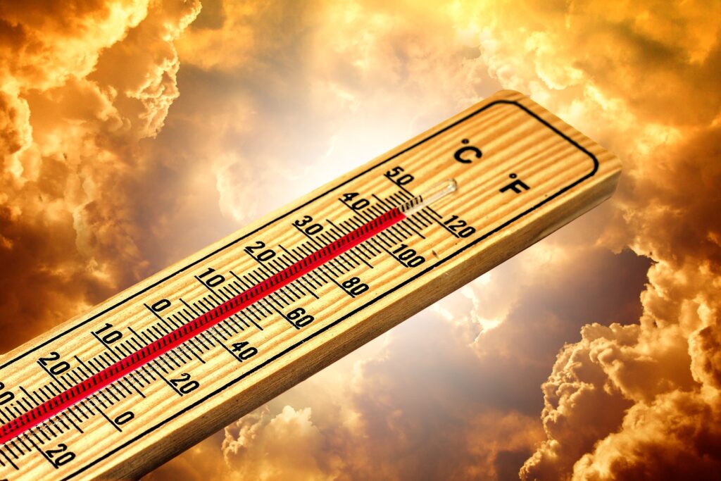 Prijete nam sunčanica i toplotni udar, koje su razlike, kako ih prevenirati